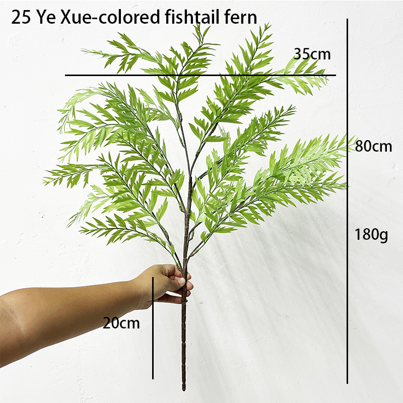 Simulation Fern Leaf