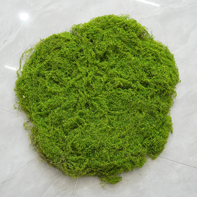 Articiaifl moss