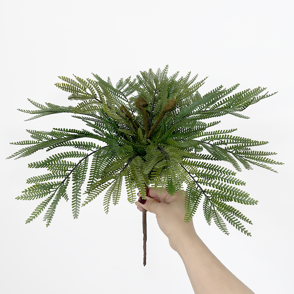 double-leaf ferns