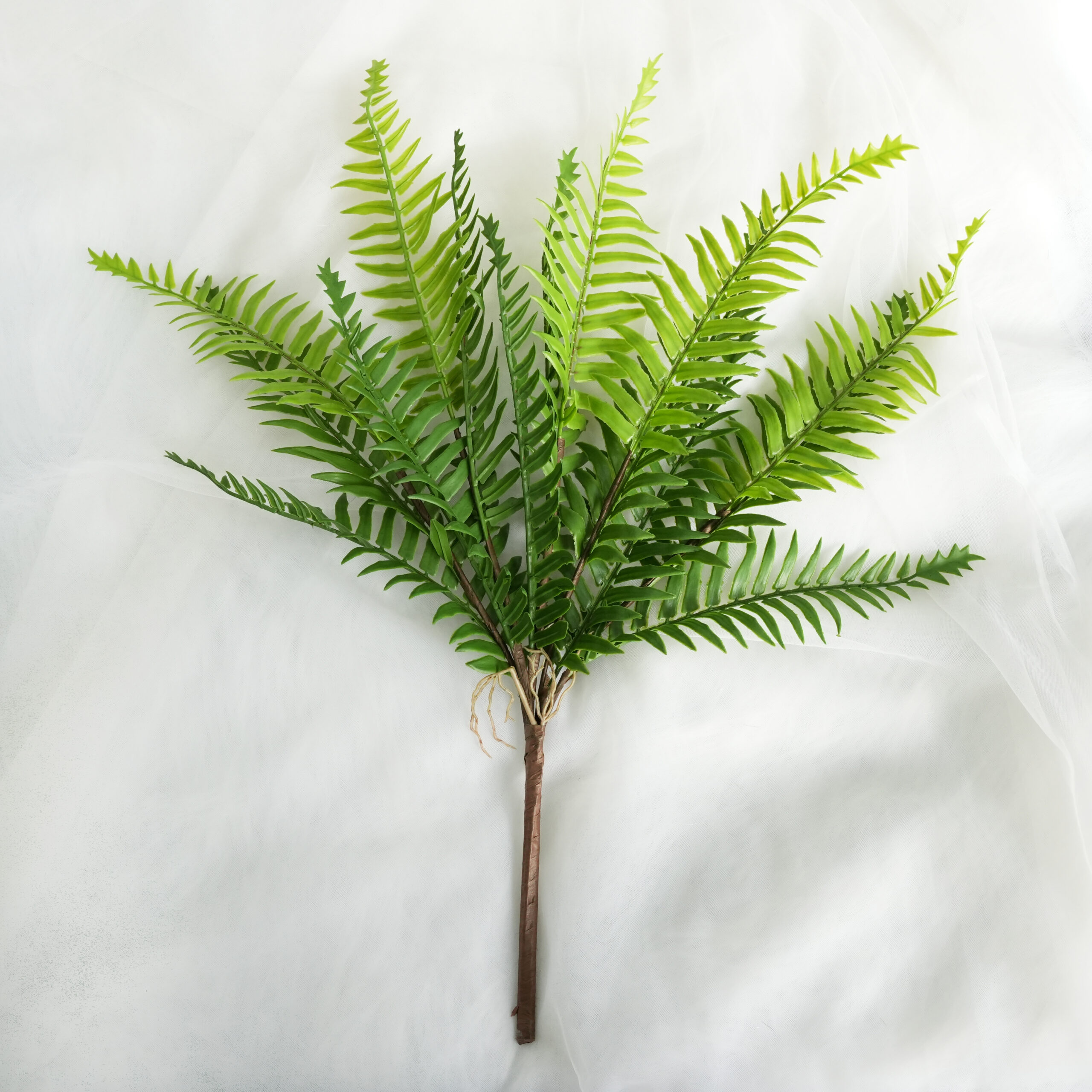 Artificial Fern