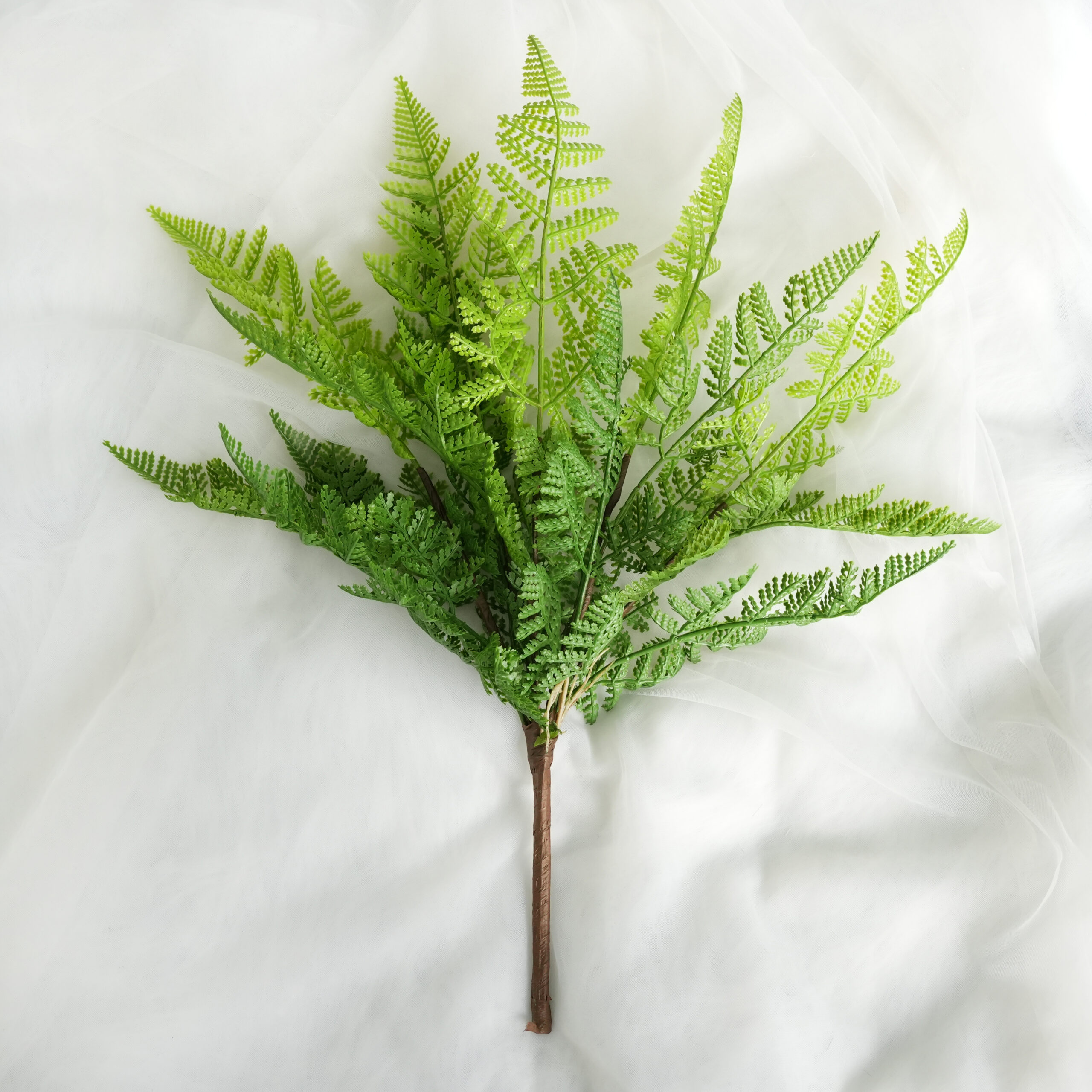 Artificial Fern