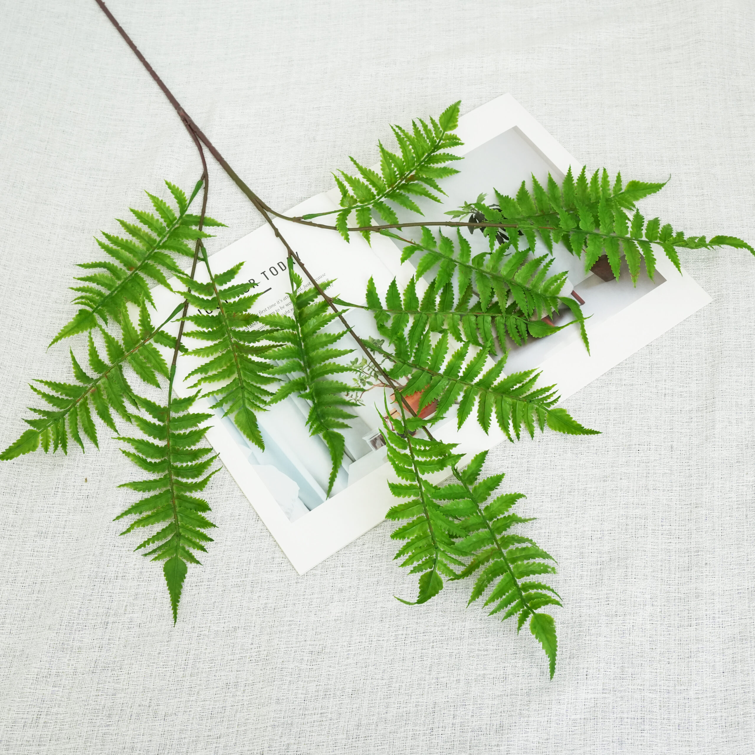 Artificial Fern Plant