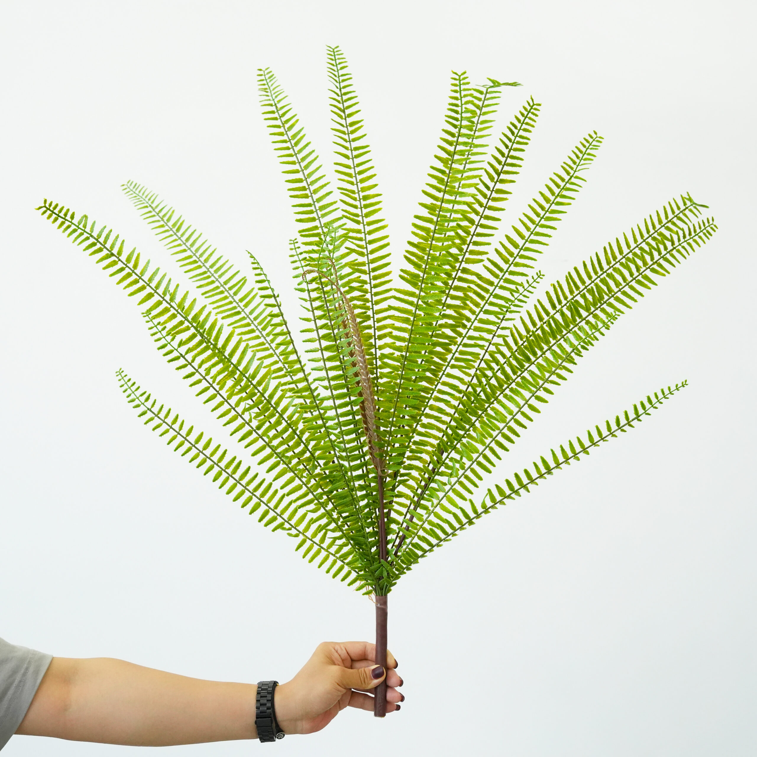 Artificial Fern