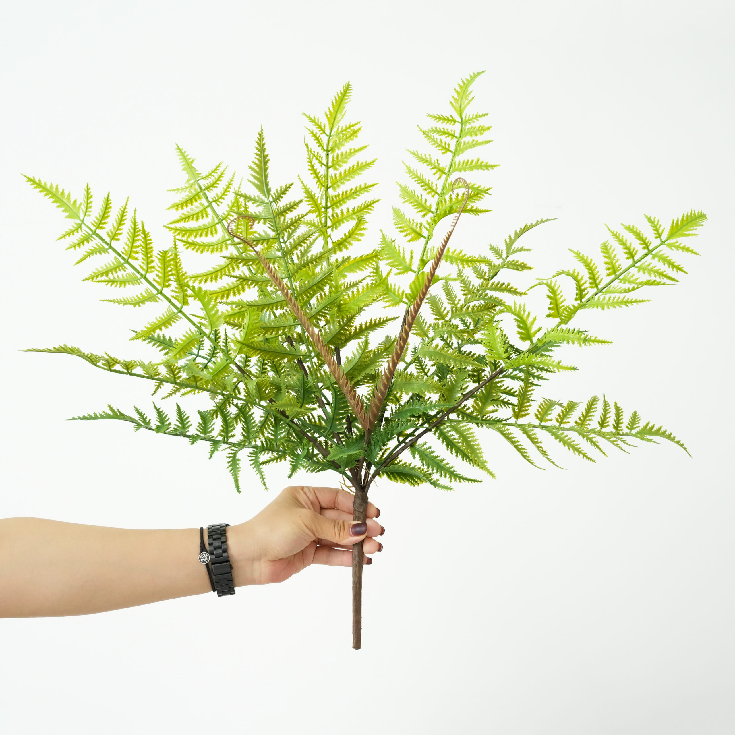 artificial Persian fern
