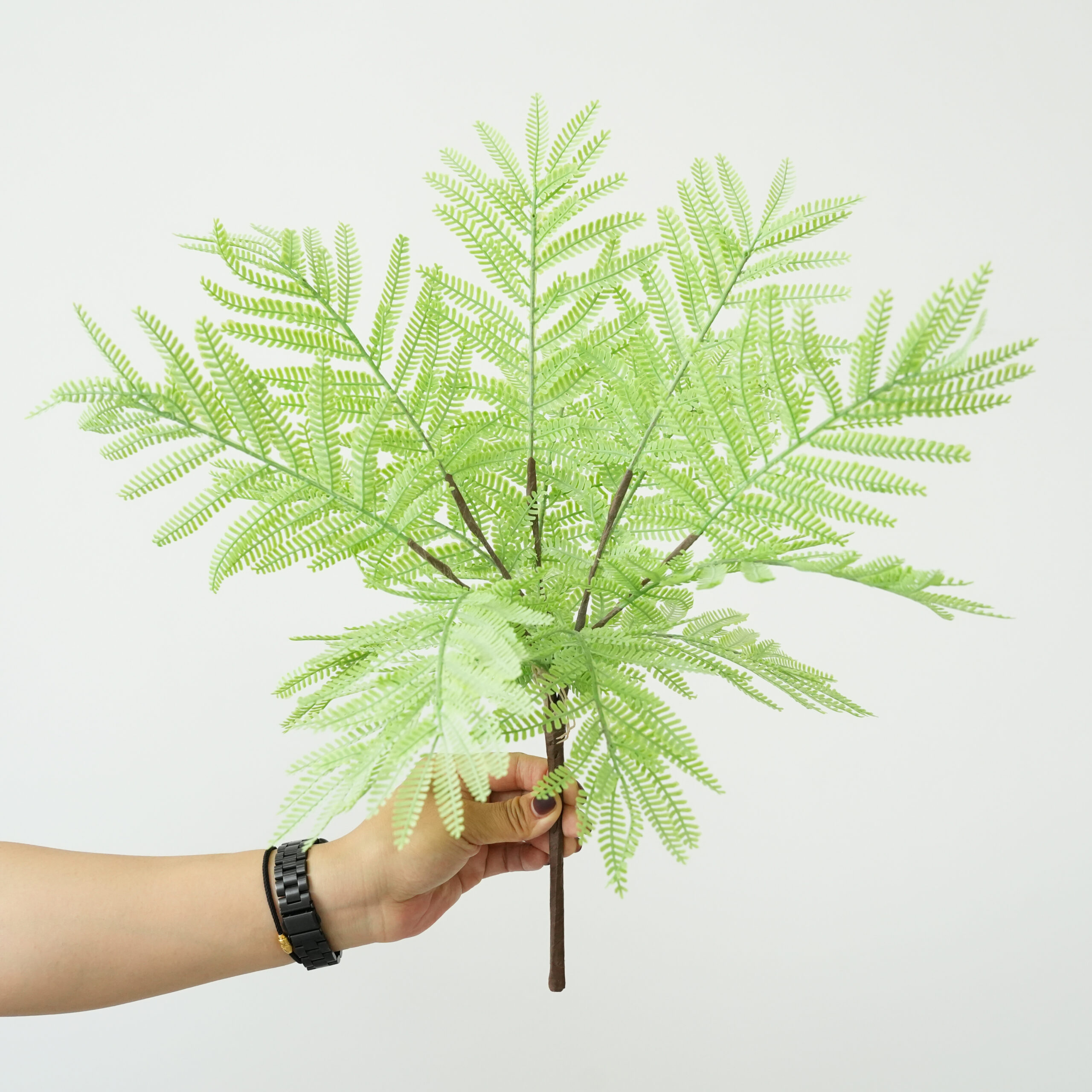 Artificial Fern