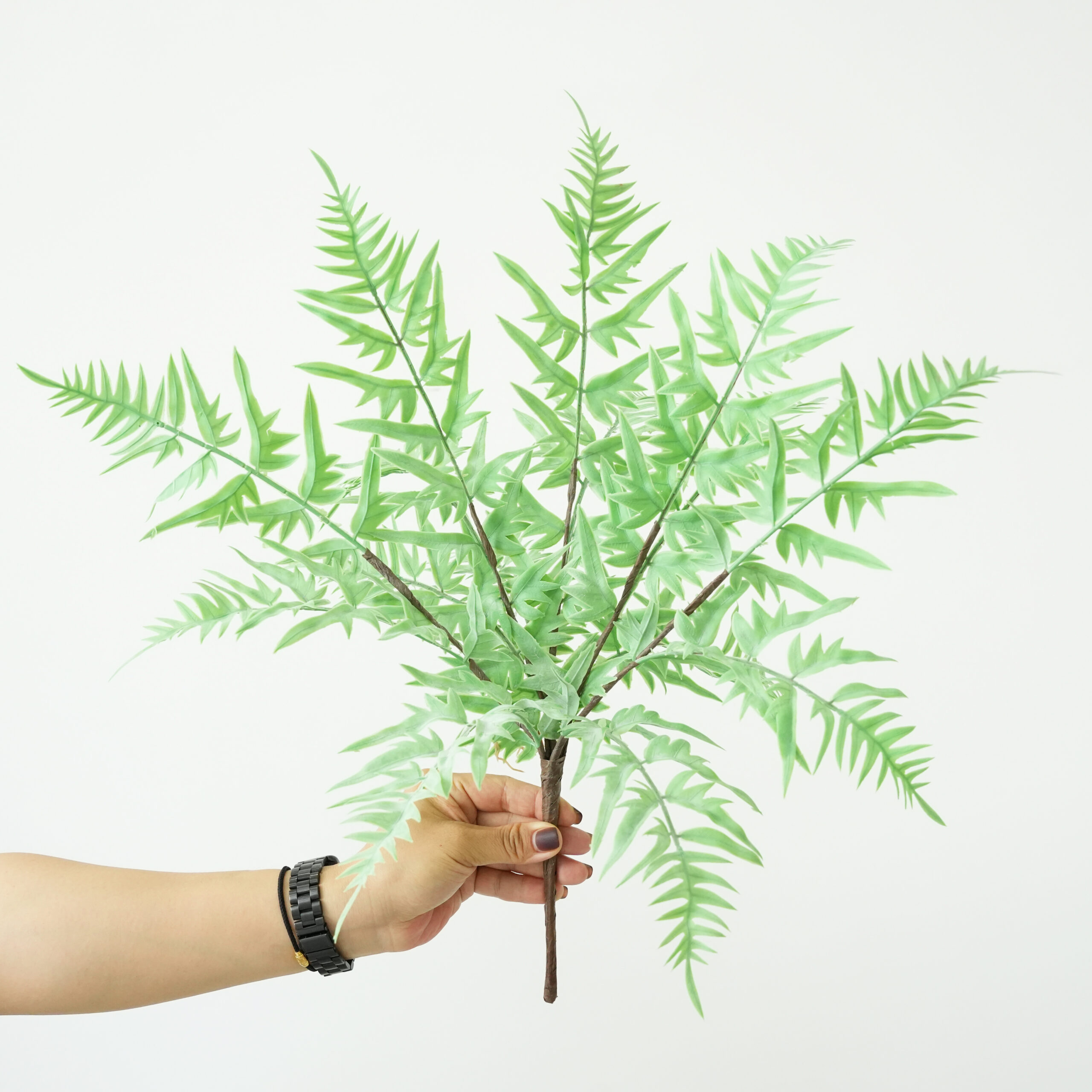 Artificial Fern