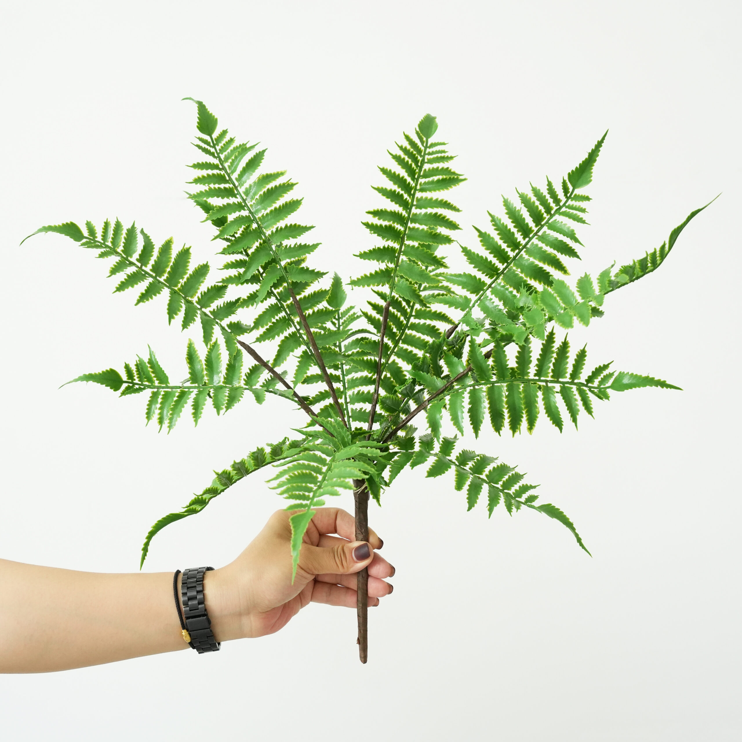 Artificial Fern