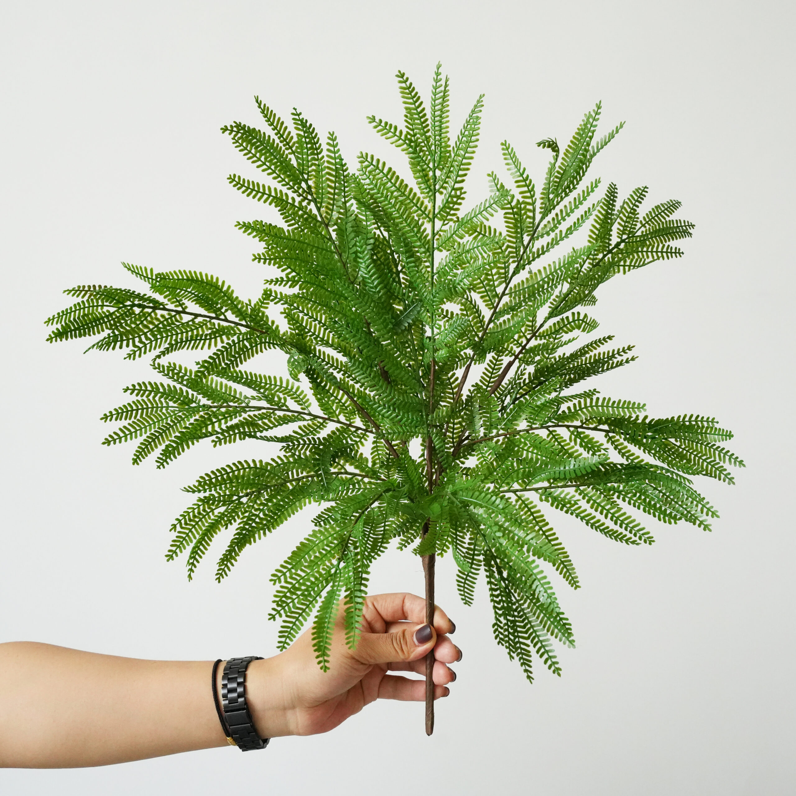 Artificial Fern