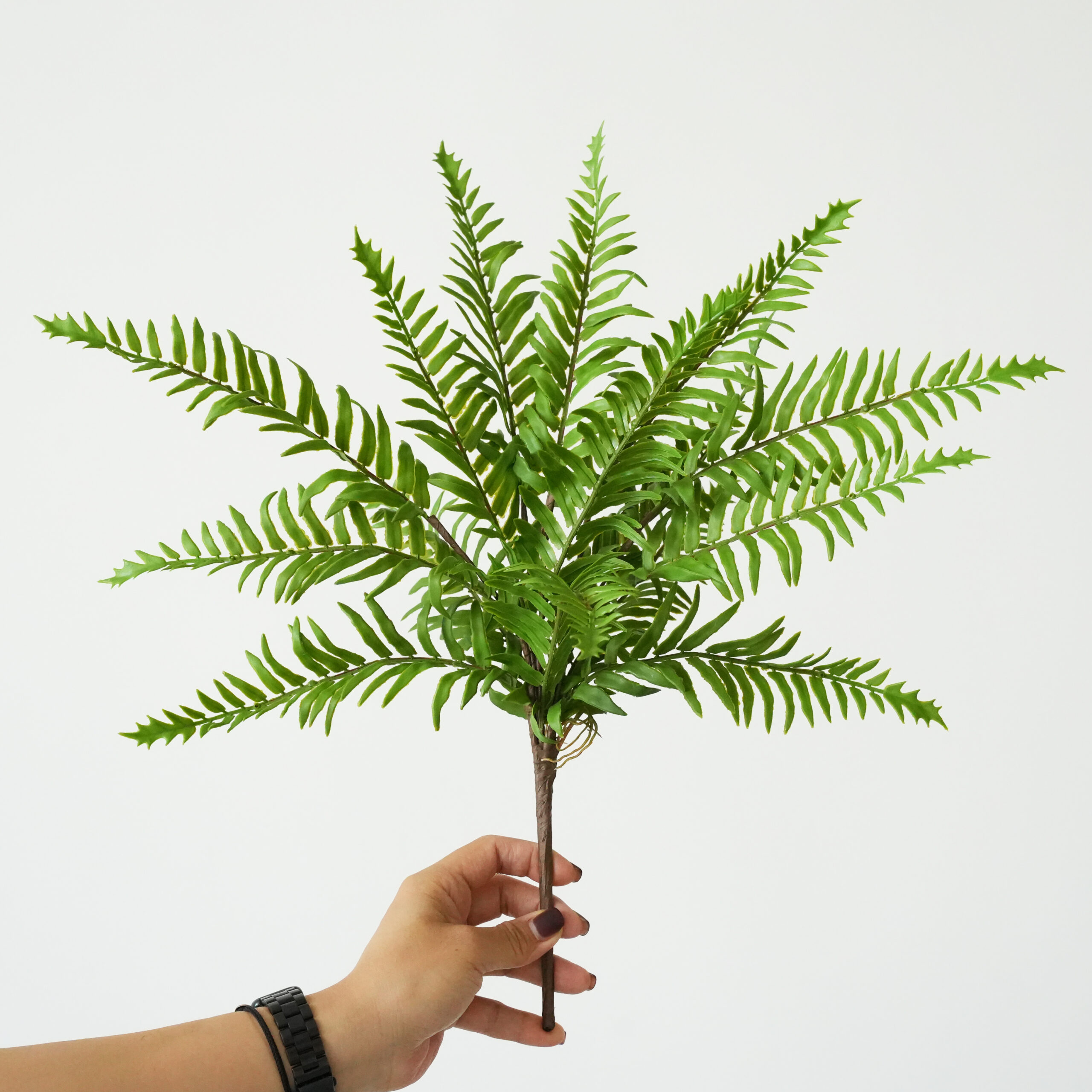 Artificial Fern