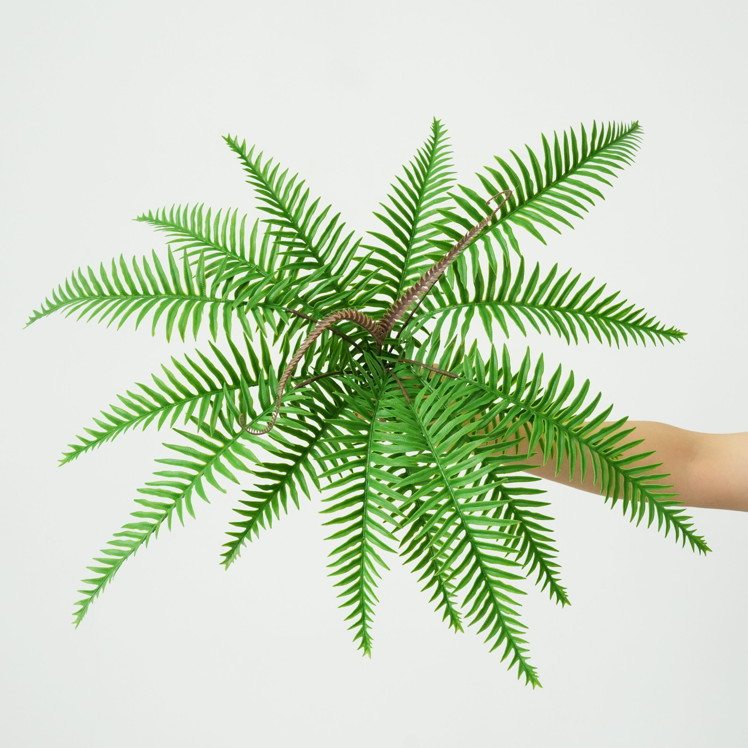 Artificial Persian Grass Fern
