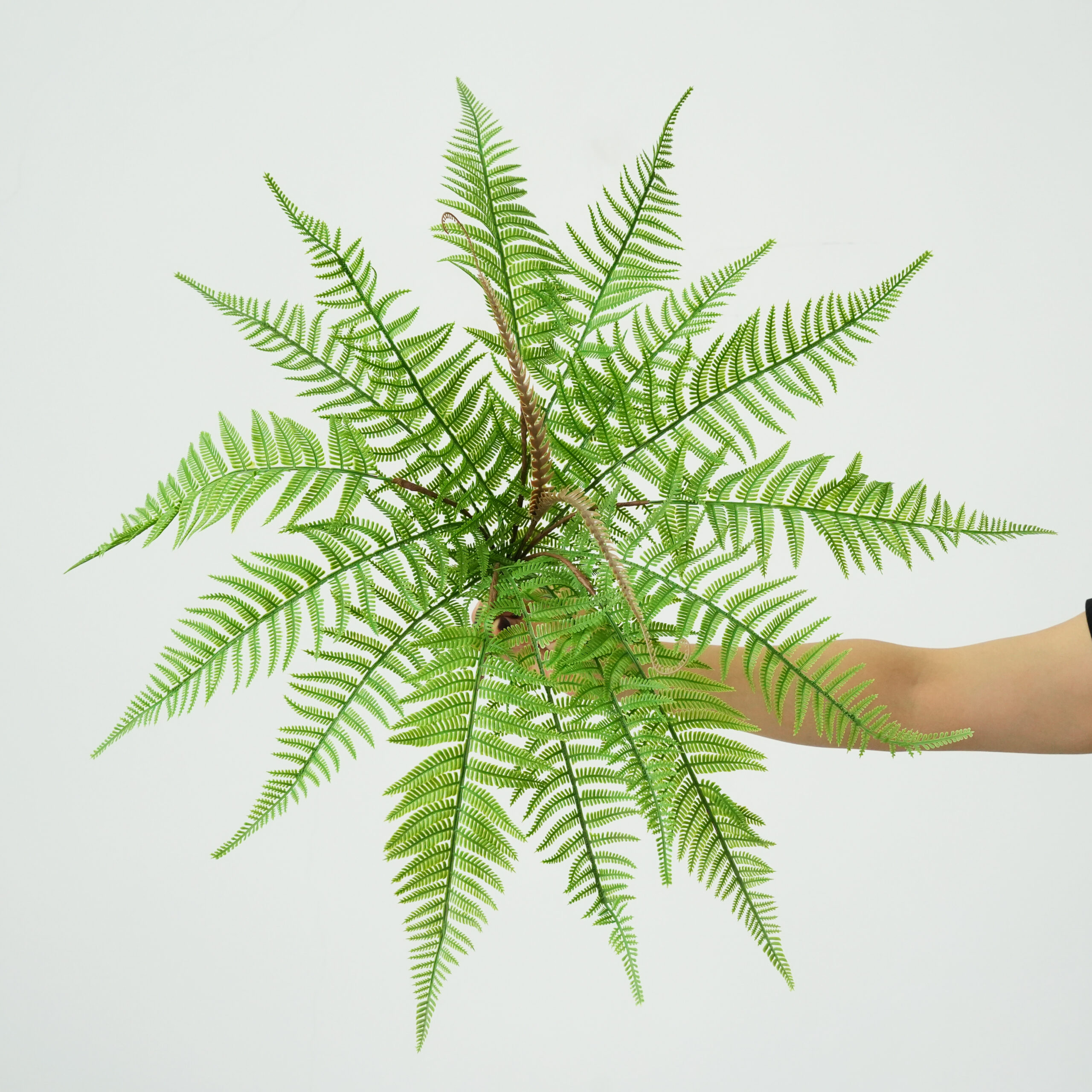 Artificial Persian Grass Fern