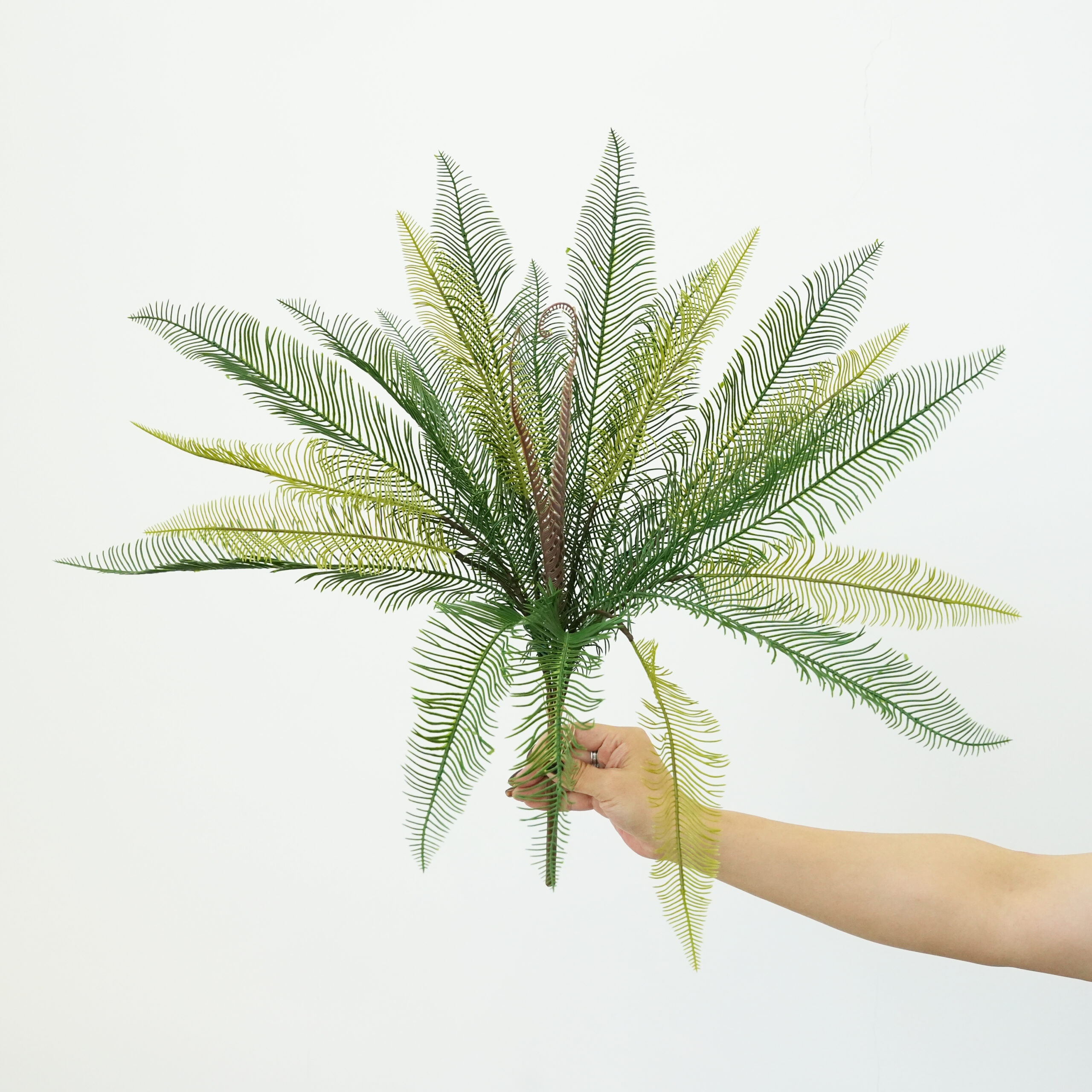 Artificial Plants