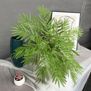 Simulation Fern Leaf