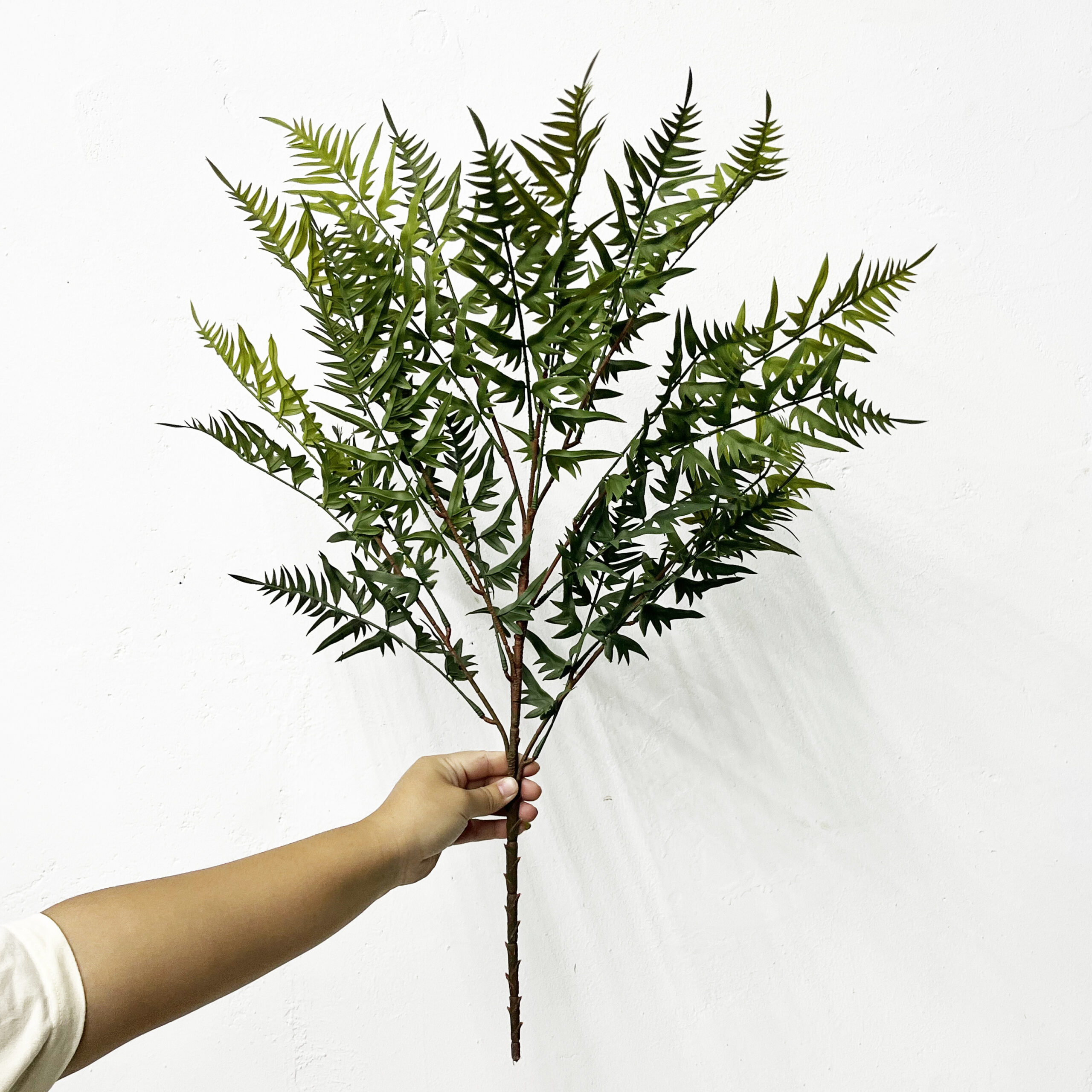 Simulation Fern Leaf