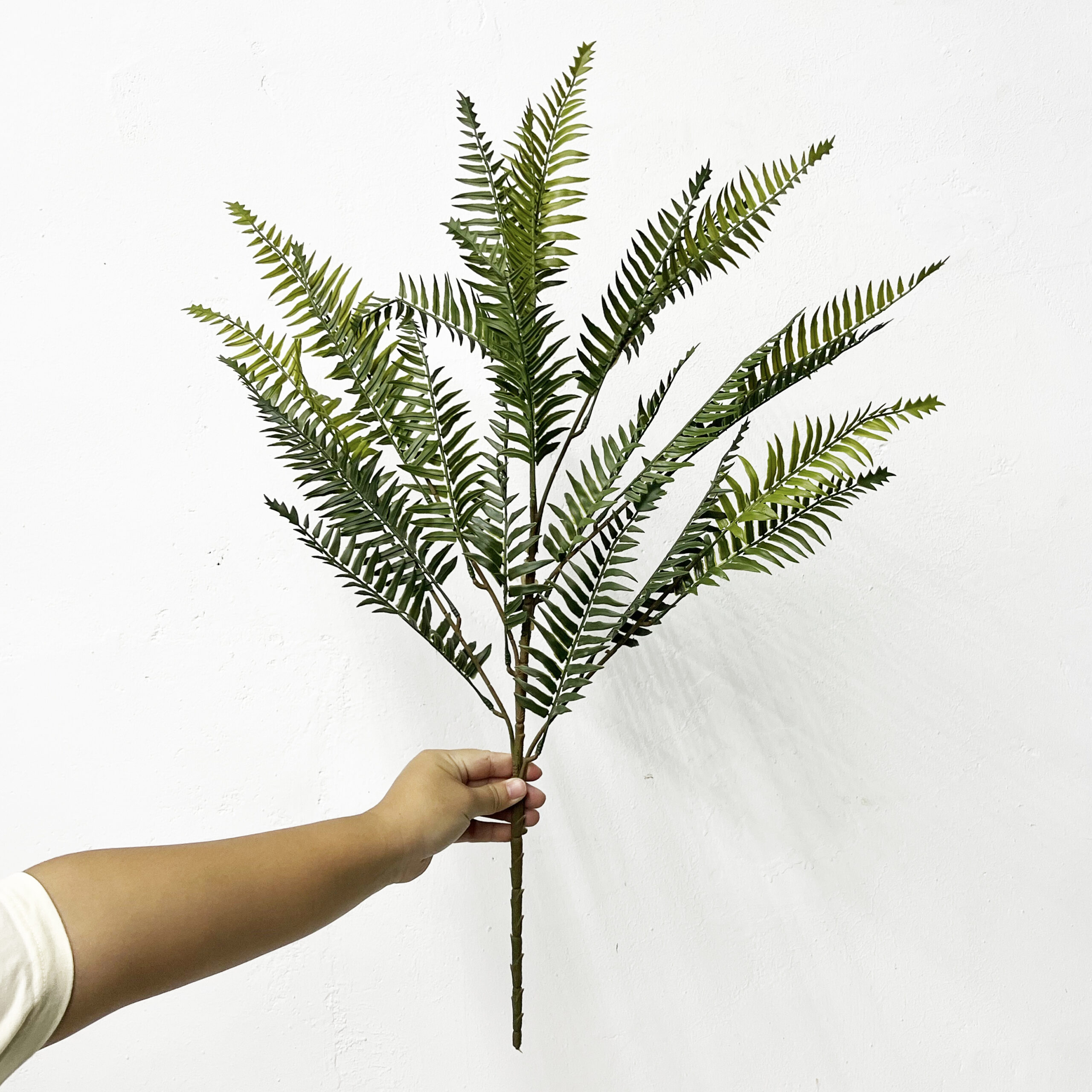 Simulation Fern Leaf