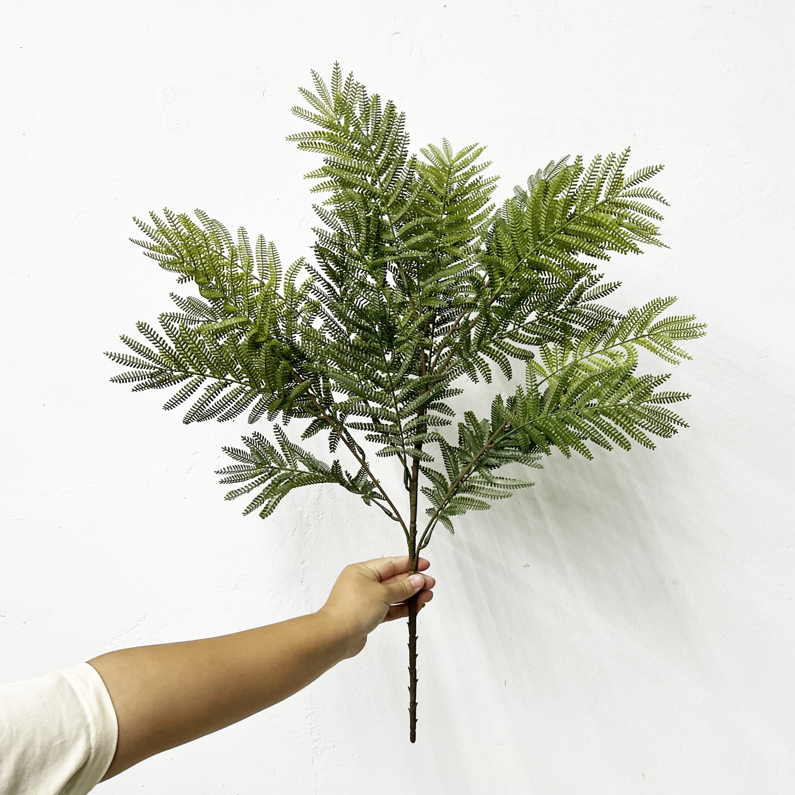 Simulation Fern Leaf