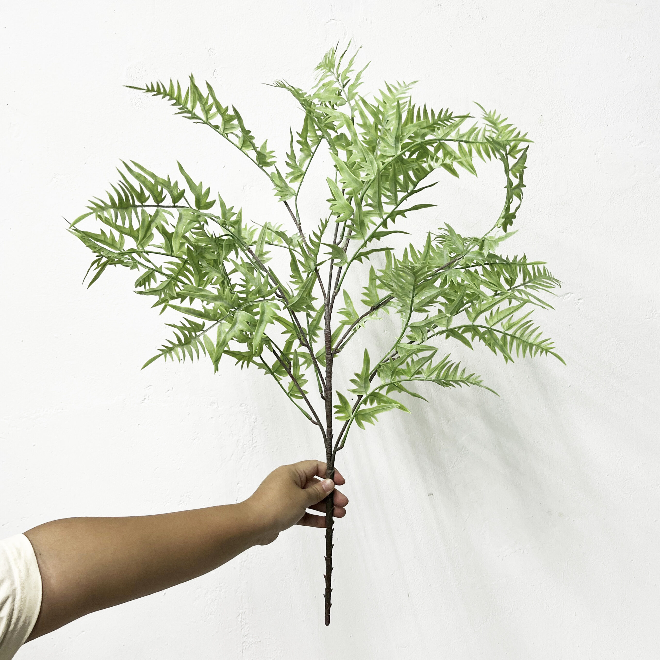 Simulation Fern Leaf