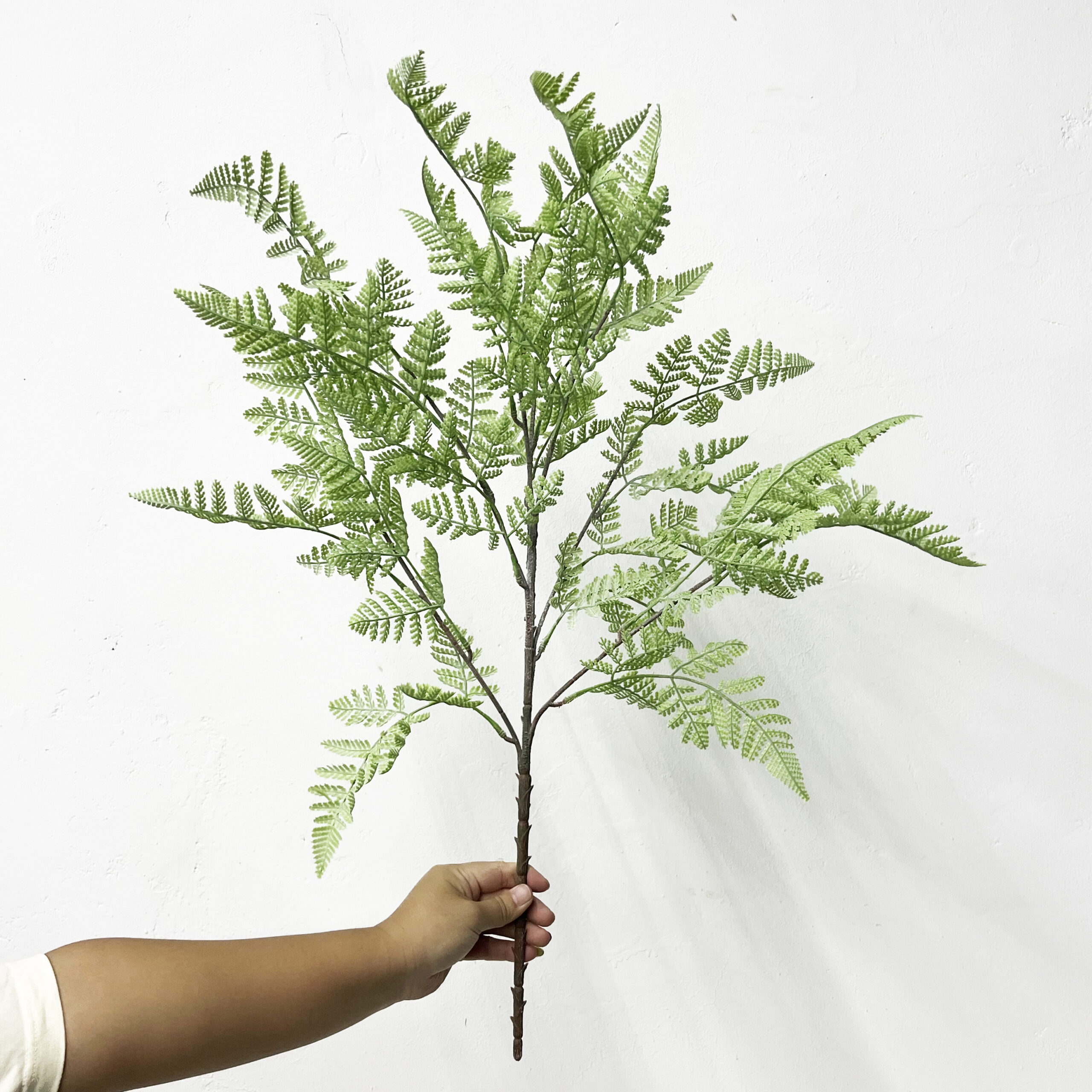 Simulation Fern Leaf