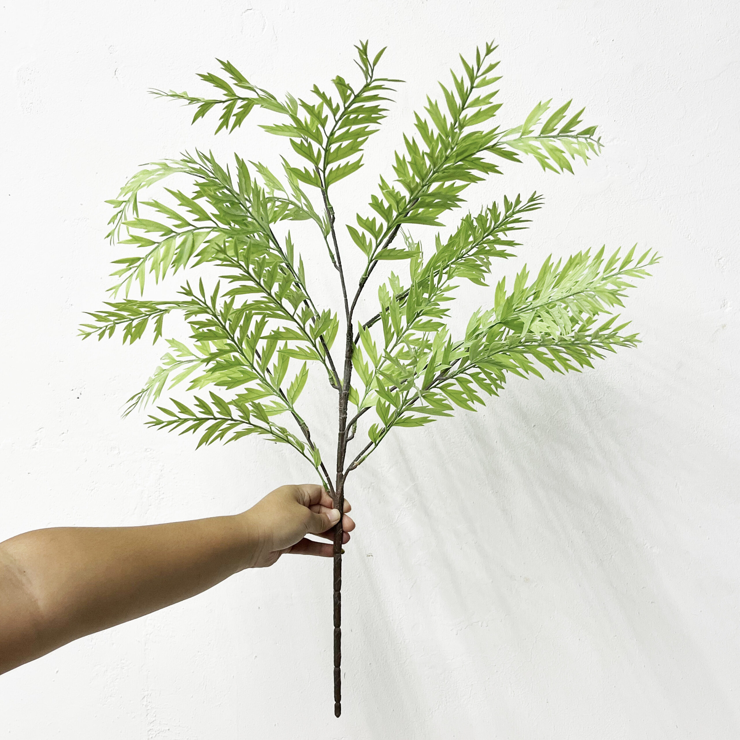 Simulation Fern Leaf