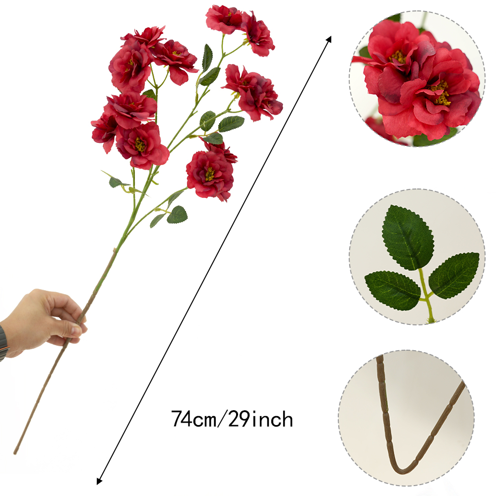 Camellia