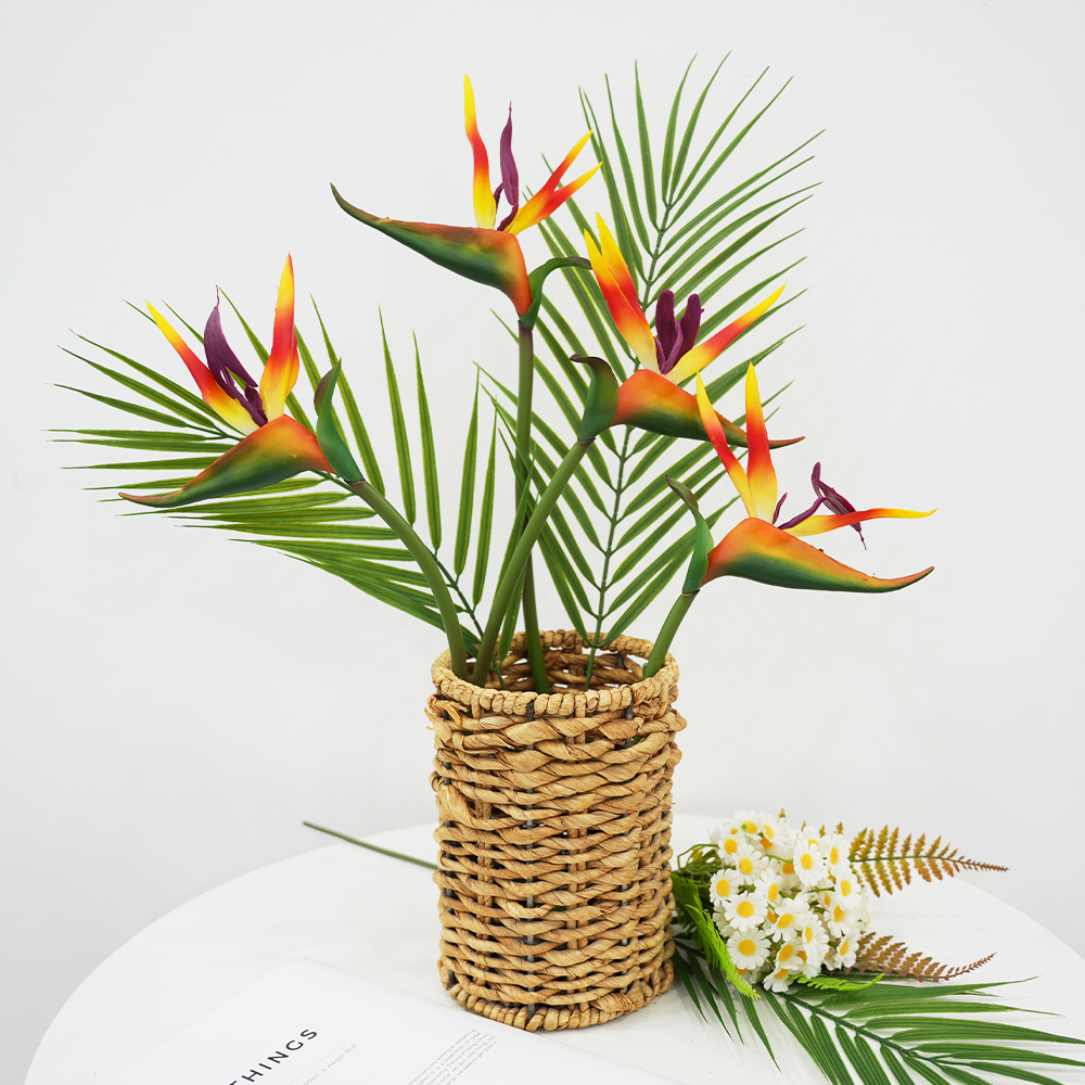 10 Bird of Paradise