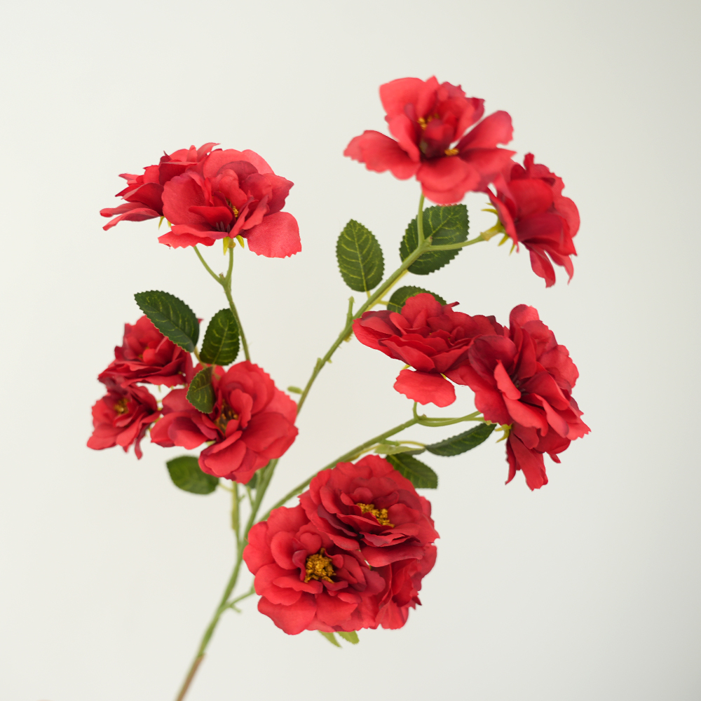 Camellia