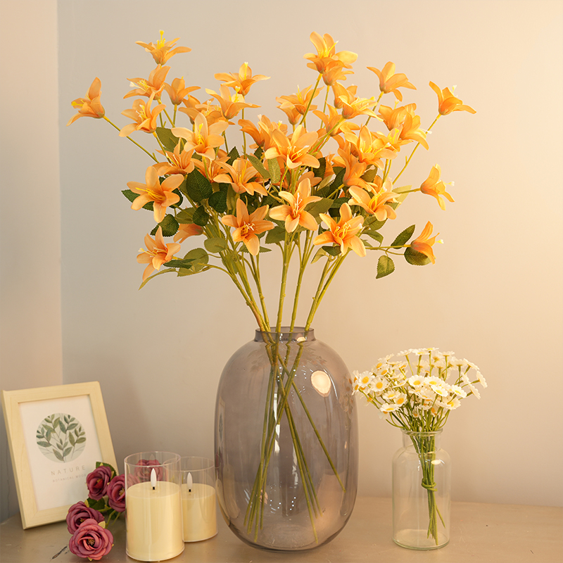 Small simulation Lily