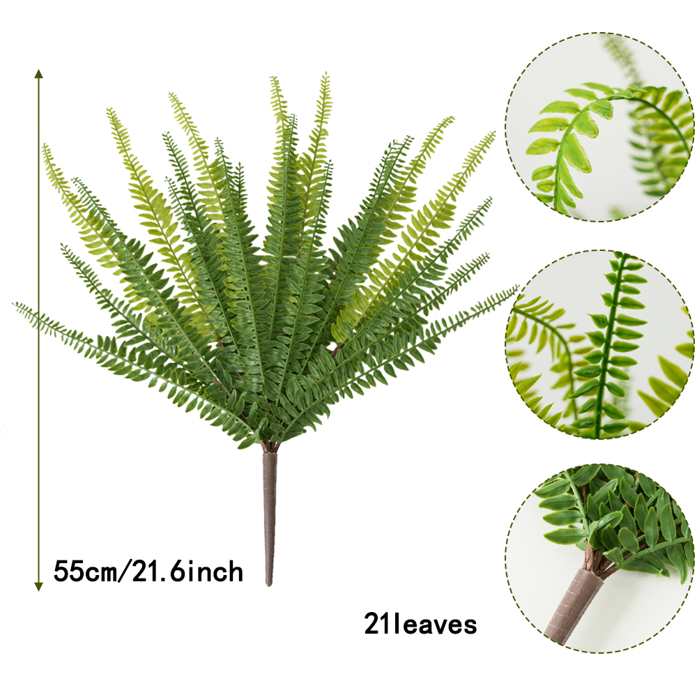 artificial kidney fern leaf