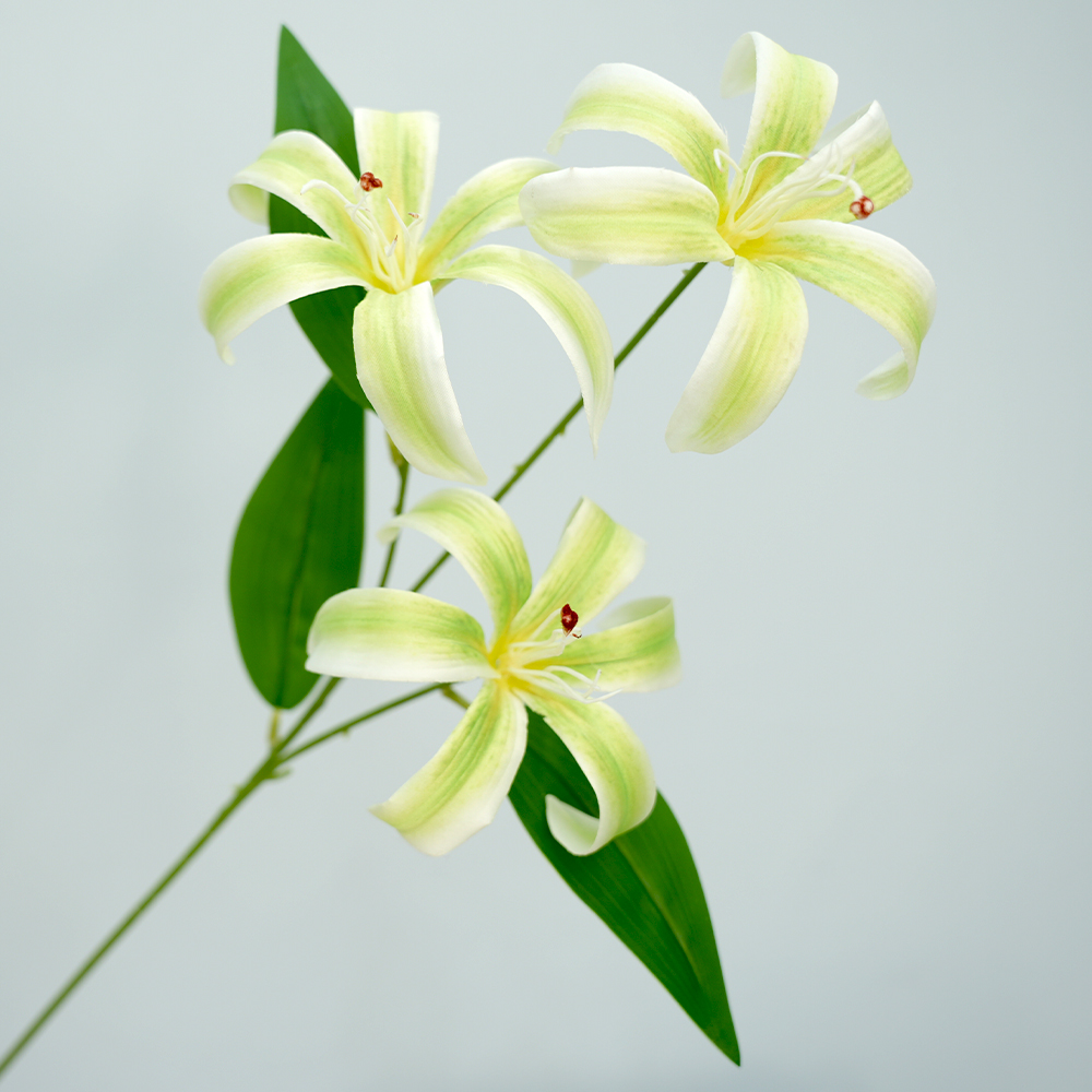 Artificial simulation lily