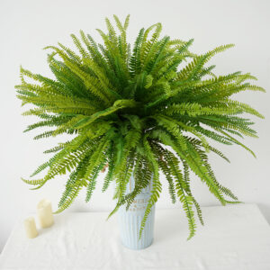 artificial kidney fern leaf