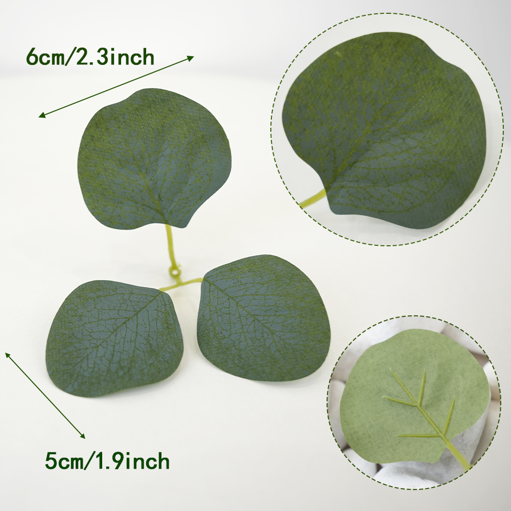 Eucalyptus Rose Leaf