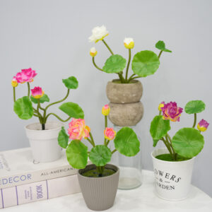 Simulation Small Lotus