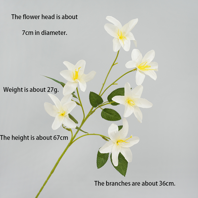 Small simulation Lily