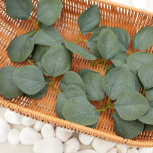 Eucalyptus Rose Leaf