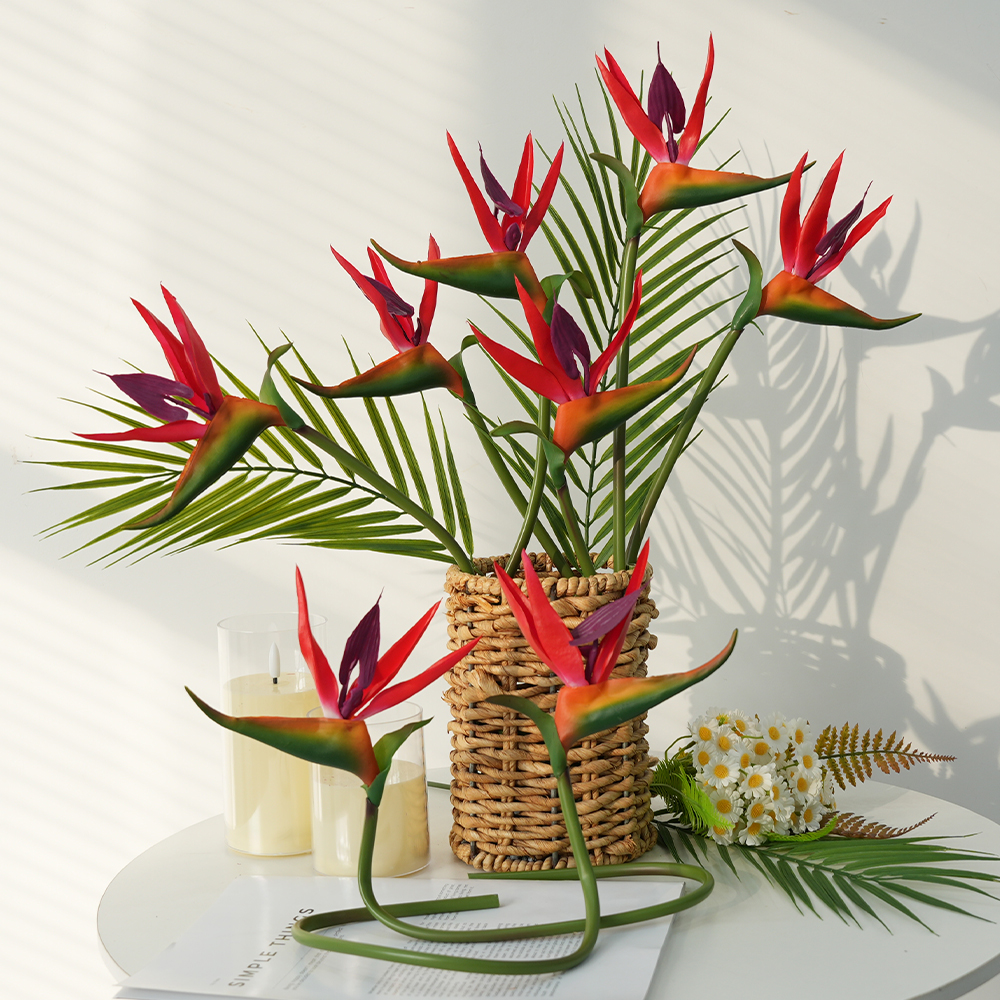10 Bird of Paradise