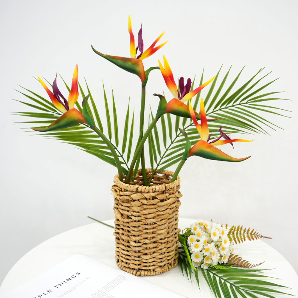 10 Bird of Paradise
