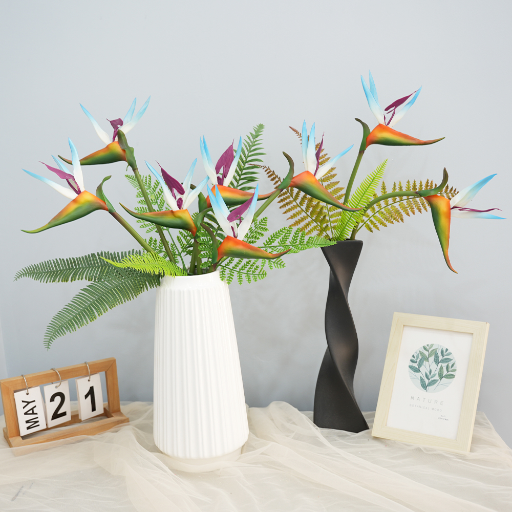 10 Bird of Paradise
