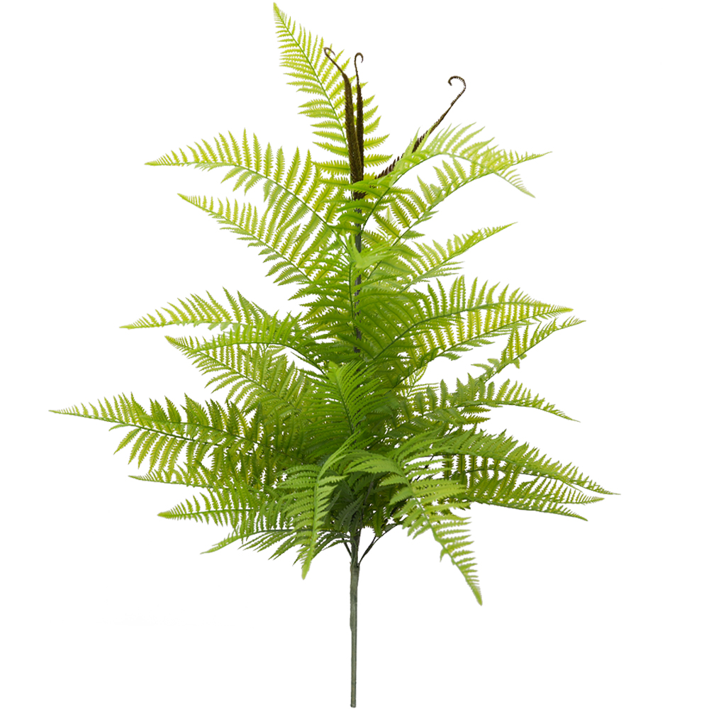 Artificial ferns