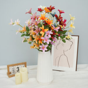 Small simulation Lily