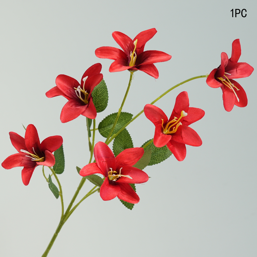 Small simulation Lily