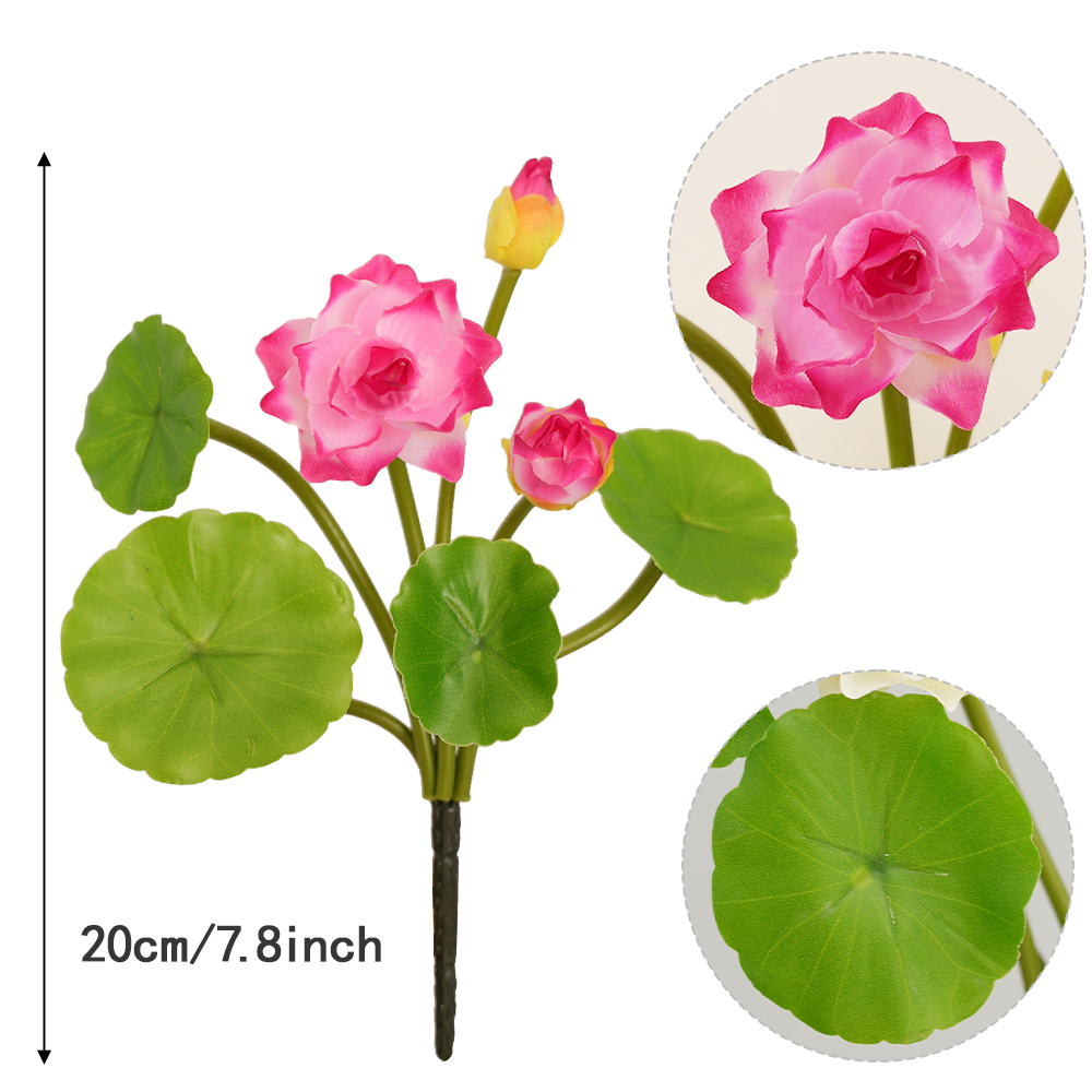 Simulation Small Lotus