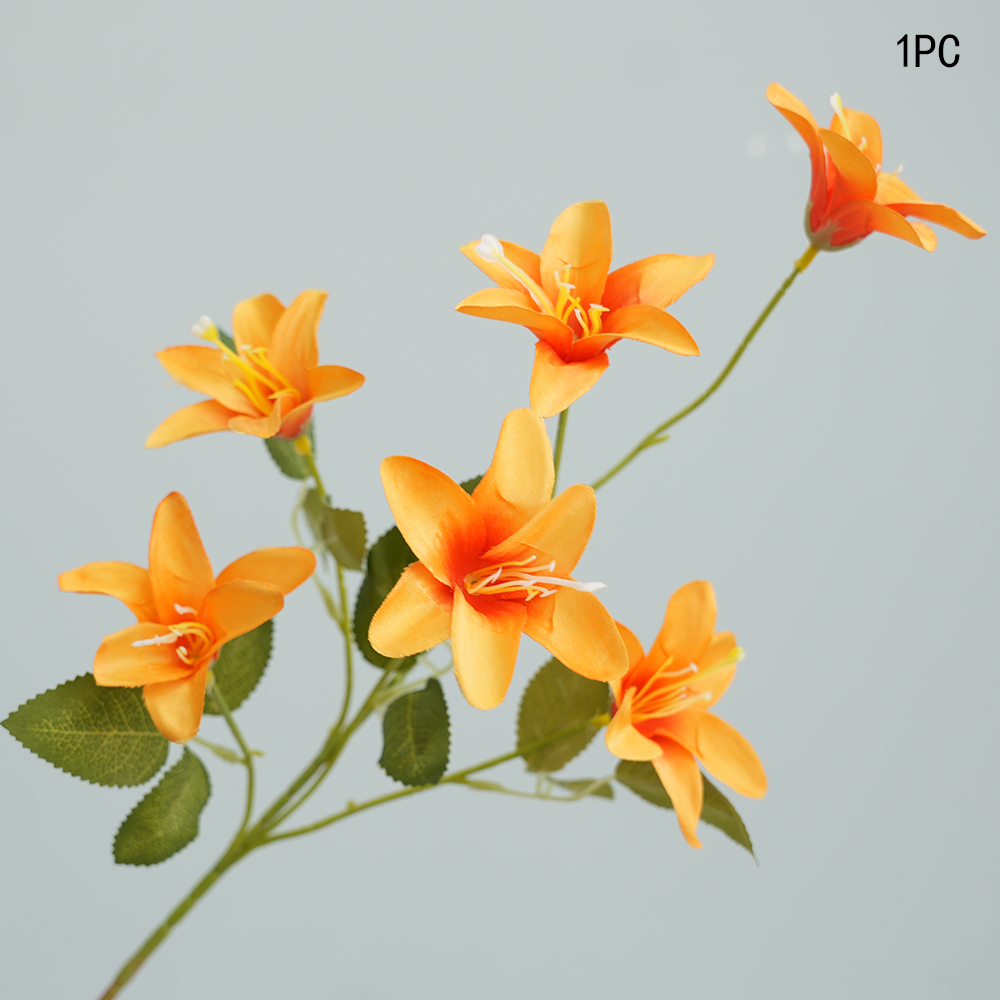 Small simulation Lily