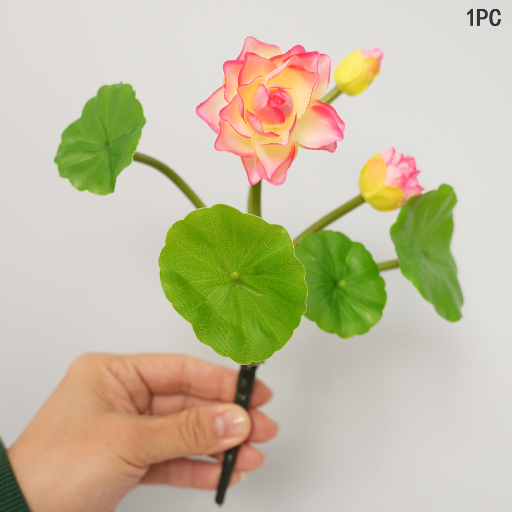 Simulation Small Lotus