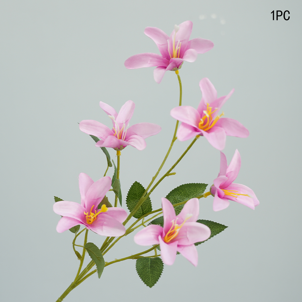 Small simulation Lily