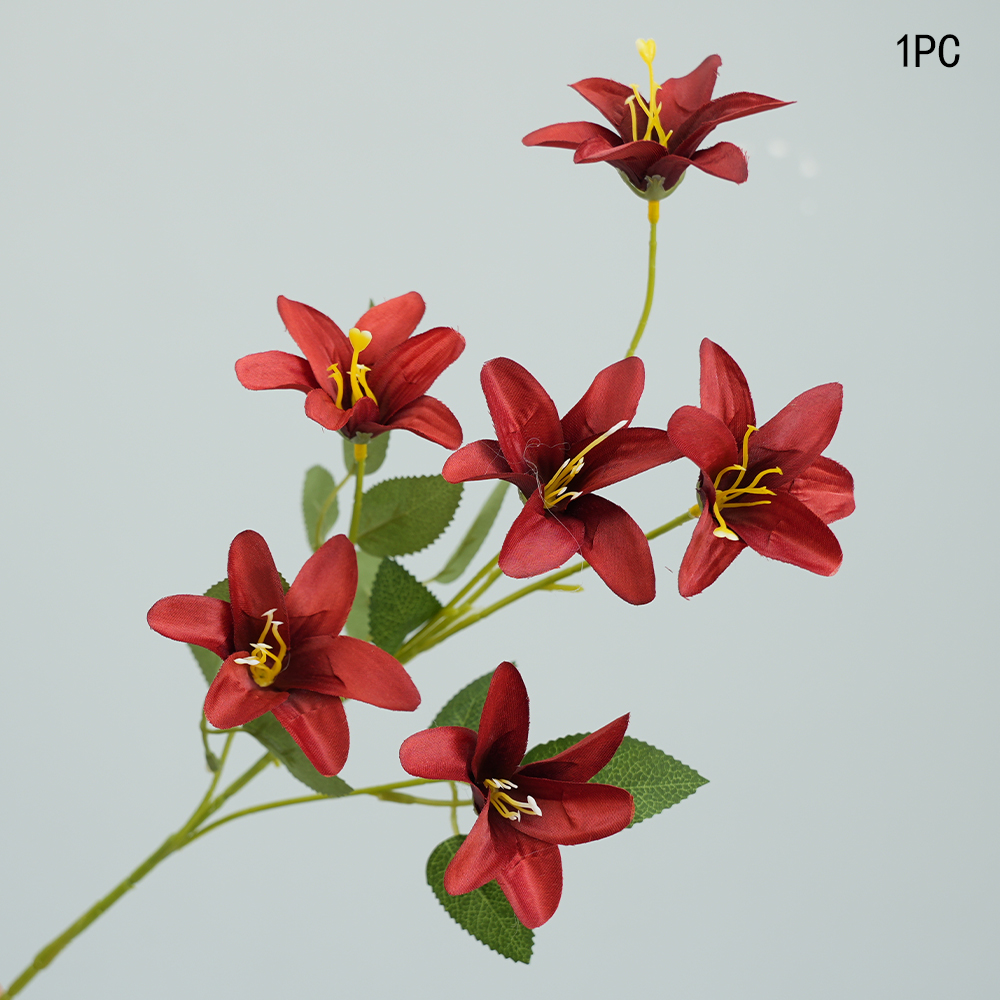 Small simulation Lily