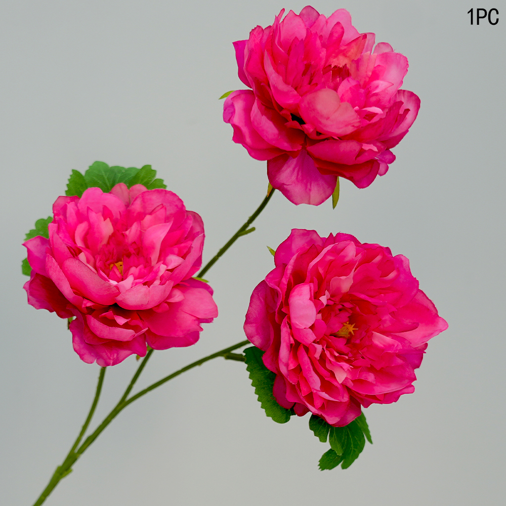 3-Head Peony
