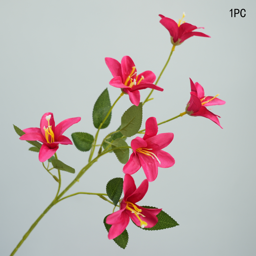 Small simulation Lily