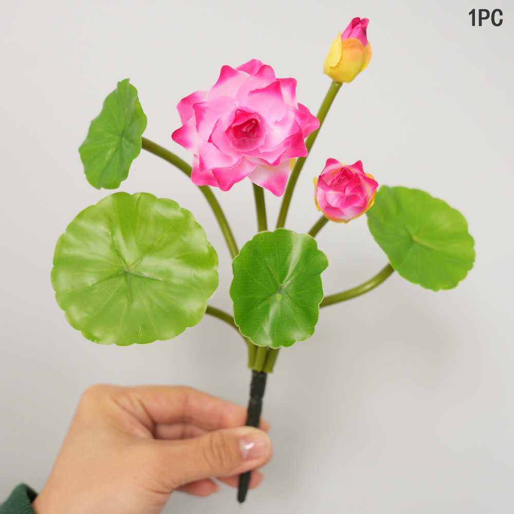 Simulation Small Lotus