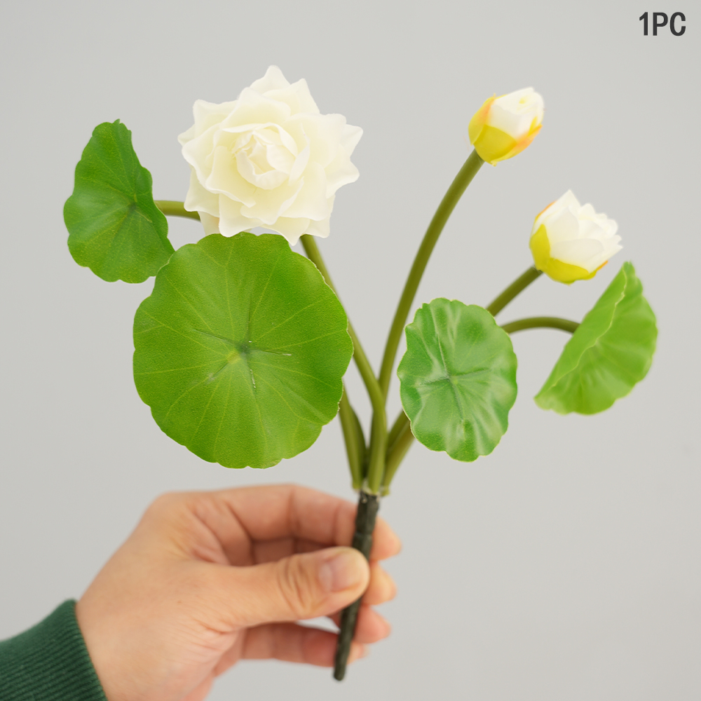 Simulation Small Lotus