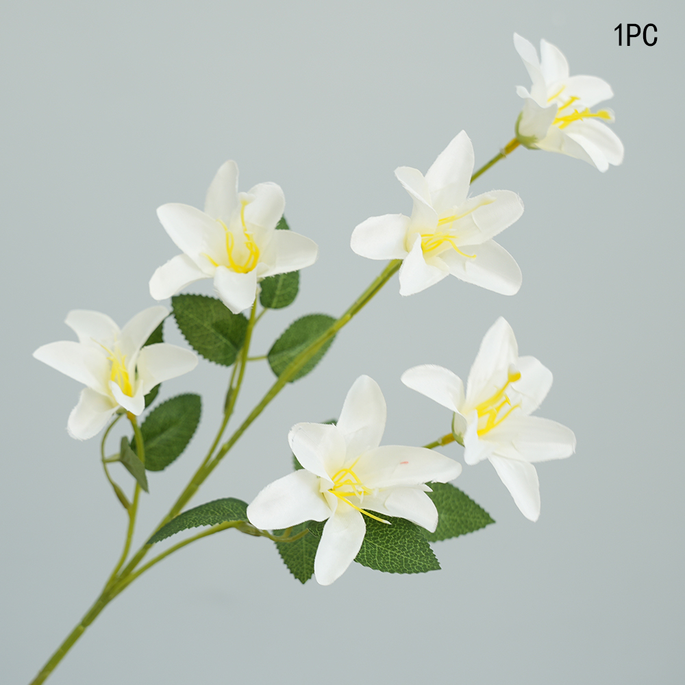 Small simulation Lily